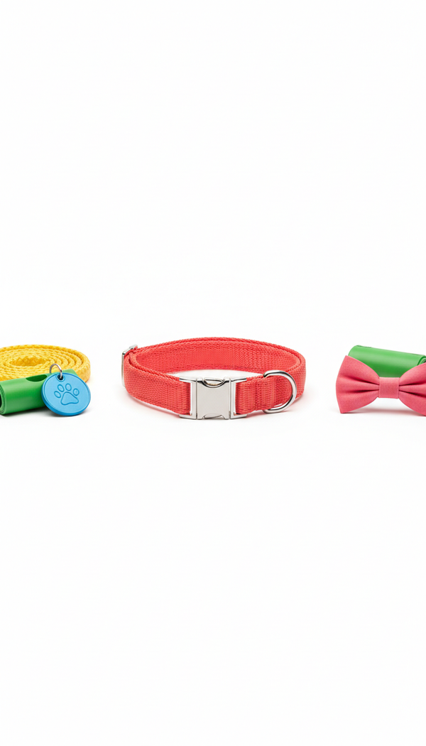 Coral Everyday Dog Collar — illustrative sample